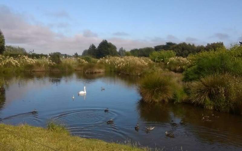 Amble on Inn Holiday Park Full Service Camp New Zealand